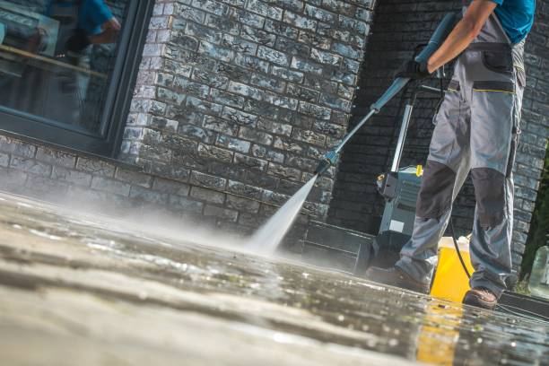 Best Roof Washing  in Hartford, MI